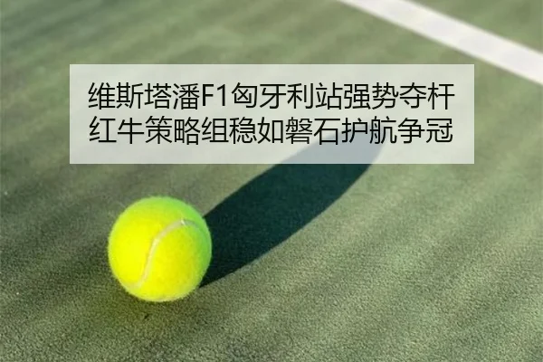维斯塔潘F1匈牙利站强势夺杆 红牛策略组稳如磐石护航争冠