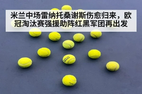 米兰中场雷纳托桑谢斯伤愈归来，欧冠淘汰赛强援助阵红黑军团再出发